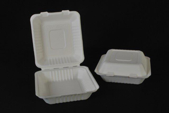 CHAMPWARE MEDIUM HINGED LID