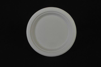 CHAMPWARE 9" PLATE