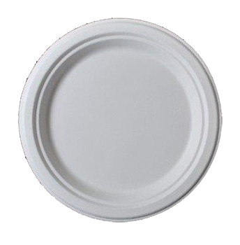 CHAMPWARE 10" PLATE